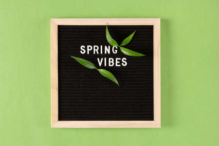 Black felt wooden frame letter board with Spring Vibes text and green shoots on green wall background. Waiting for spring conceptの写真素材