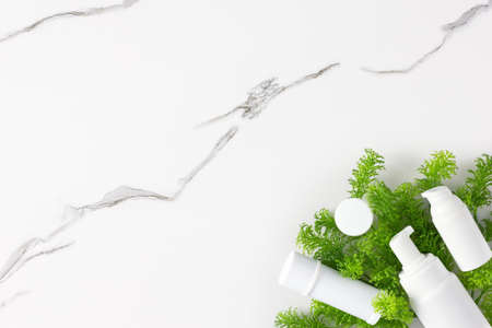 Skin care beauty products on green plant branches. Skincare cosmetics on marble background. copy spaceの写真素材