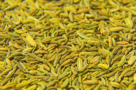 Texture of close up spices dried seeds of anisの写真素材
