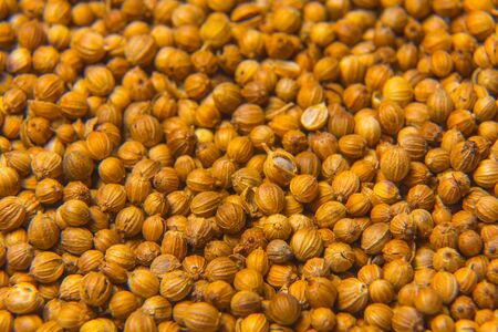 Texture of close up spices dried seeds of corianderの写真素材