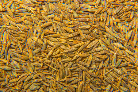 Texture of close up spices dried cumin