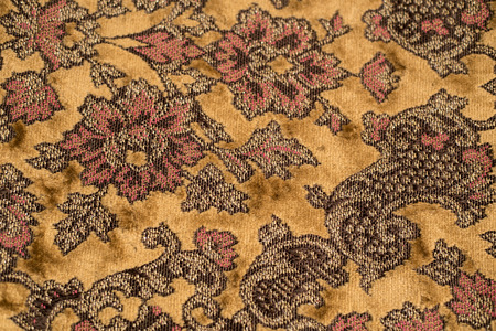Close up texture for your art and masterpiece