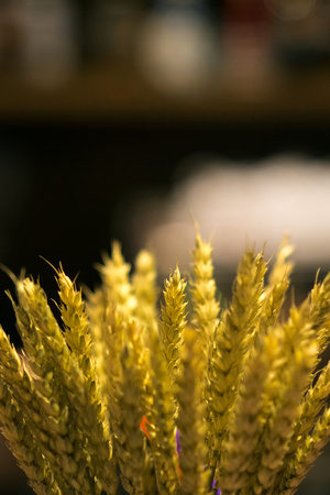 design dried yellow lowers in interior, clouseupの写真素材