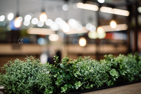 Stylish interior of a cozy restaurant or cafeの写真素材
