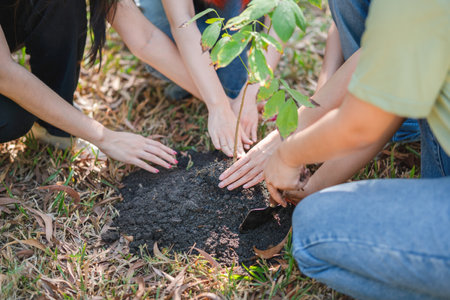Close up of Young Female Volunteers Group Hands Planting Tree for Environmental Conservation, Eco-Friendly Group Activity: Teamwork in Tree Plantingの写真素材