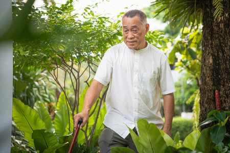 Senior Asian Man with Walking Stick in Garden, Elderly Gentleman Enjoying Nature Outdoors, Retired Man Strolling in a Lush Green Parkの写真素材