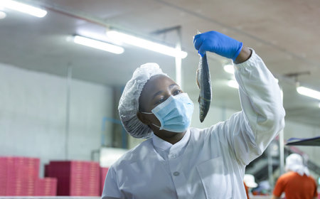 Quality control worker inspecting fresh fish for processing in a seafood factory, Food industry...