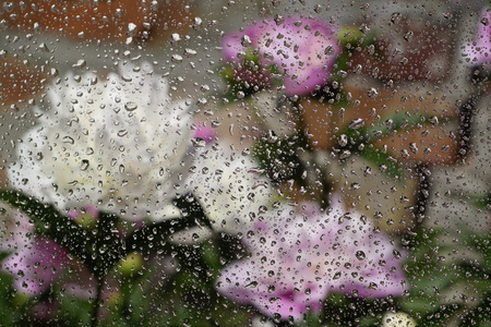 Raindrops on the glass and white peonies are blurred in the background. The concept of the summer rainy weather. Abstract background.の写真素材