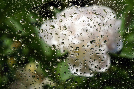 Raindrops on the glass and white peonies are blurred in the background. The concept of the summer rainy weather. Abstract background.の写真素材