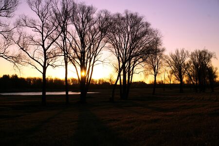 Beautiful colorful spring dawn with beautiful shadows from trees.Spring mood.の写真素材