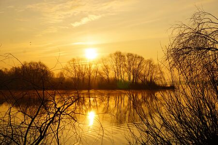 A wonderful Golden sunrise over the river with trees in spring.の写真素材