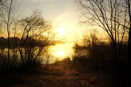 A wonderful Golden sunrise over the river with trees in spring.の写真素材