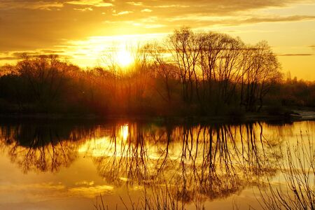 Magnificent morning spring dawn on the river. Sunrise behind the trees.の写真素材