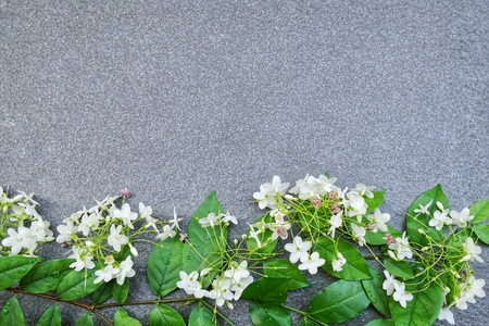 Fresh white flowers and green leaves frame on tile texture background.Flat lay,Top view with copy...