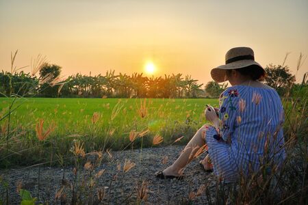 Girl holding smartphone on green field with beautiful nature in summer and sunset light.Day off holiday concept.の写真素材