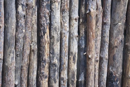 log fence close up shot for backgroundの写真素材