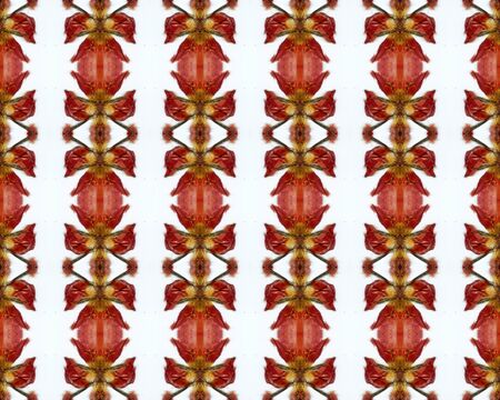 the vintage shabby background with classy patterns