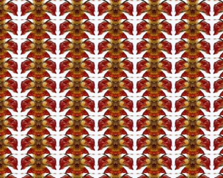 Vintage shabby background with classy patterns  Seamless vintage delicate colored wallpaper  Geometric and floral pattern on paper texture in grunge style の写真素材