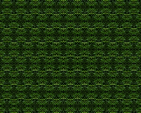 the beautiful Christmas tree background for designの写真素材