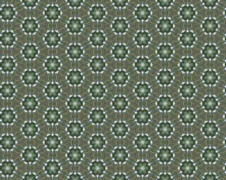 the vintage shabby background with classy patterns
