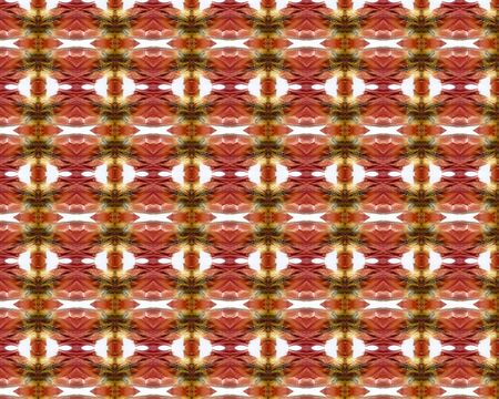 the vintage shabby background with classy patterns