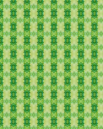 the vintage shabby background with classy patternsの写真素材