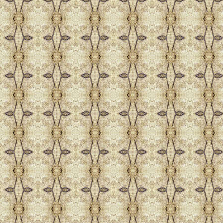 the Vintage shabby background with classy patterns.の写真素材