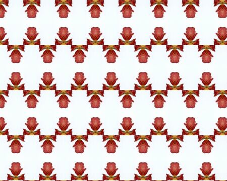the vintage shabby background with classy patterns