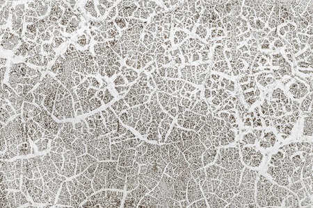 Grunge white background Cement old texture wallの写真素材