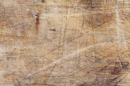 The texture of bark wood use as natural backgroundの写真素材