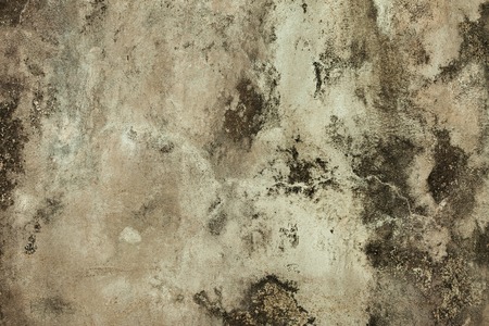 The Grunge Vintage Gray Concrete Wall Background