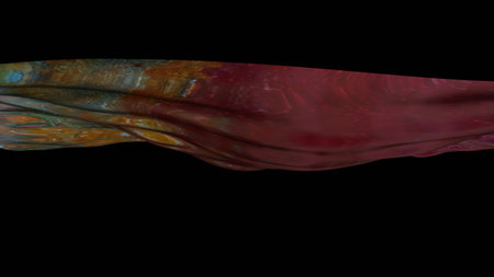 Red water splash isolated on black background. 3D renderingの写真素材