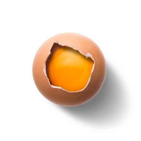Raw Egg