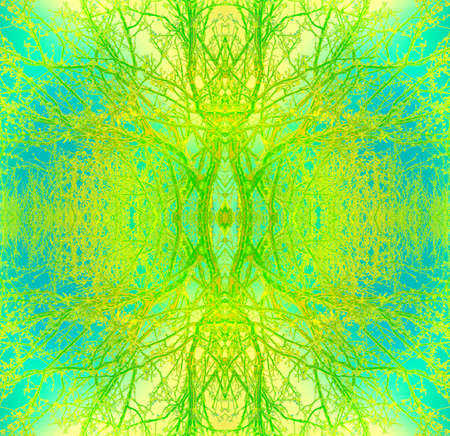 The pattern of branches on the background of the bright skyの写真素材