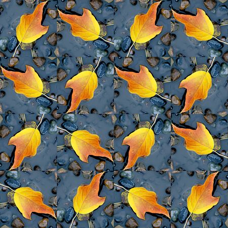 Pattern of leaves in the water