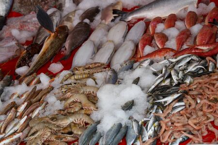 Fish Market