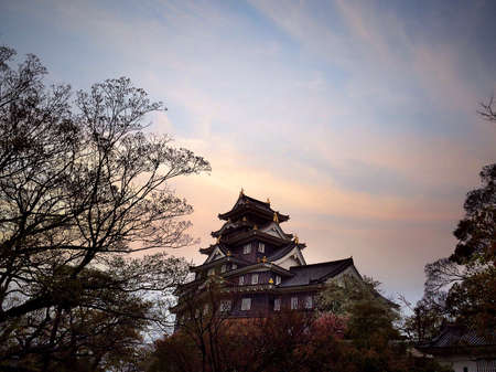 Okayama castle with beautiful sky.の素材