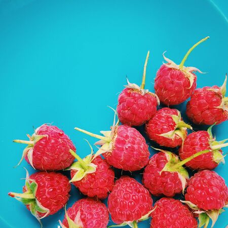 Red raspberry in blue green tone dish background.の素材