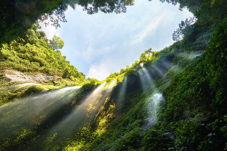 Waterfall landscape in green forest with day light and water spray effect.の写真素材