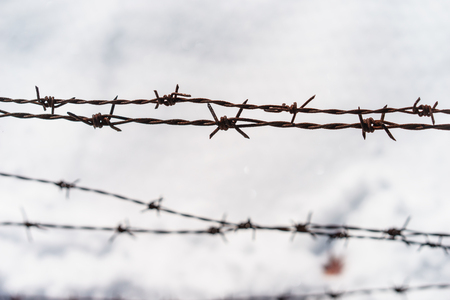 rusty barbed wire metal for emotion protection struggle prison,Struggle business concept,Rusty barbed wire backgroundの写真素材