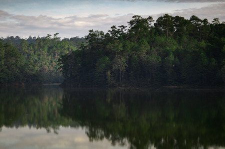 forest reflection on water,thailand winter season,beautiful autumn season,pine tree forest in Thailand.の写真素材
