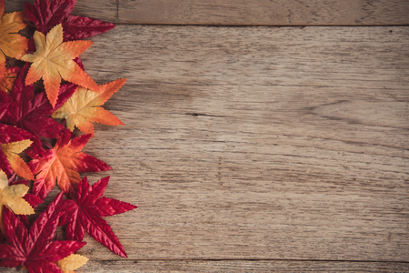 maple leaves on wood table background,autumn color backgroundの写真素材