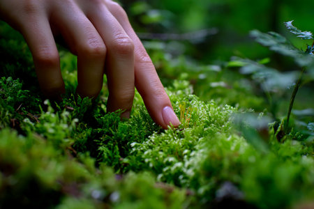close up of a hand touching soft moss in forest, nature connection, tactile experienceの素材