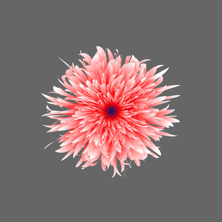 Beautiful realistic 3D pink flower with layered petals and vibrant details isolated on dark background, vector illustrationのイラスト素材