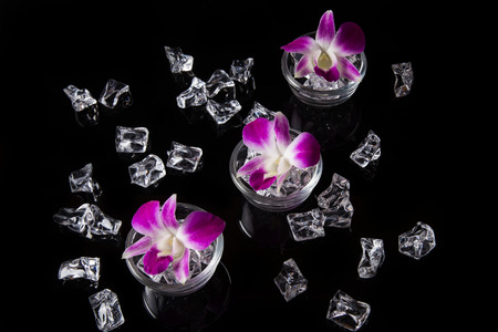 Orchid flowers in a cup for the spa.の写真素材