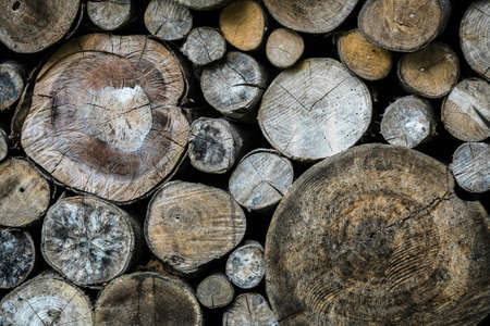 Dry timber log stacked as background. Logs cross cuts on the timber cutting.の写真素材
