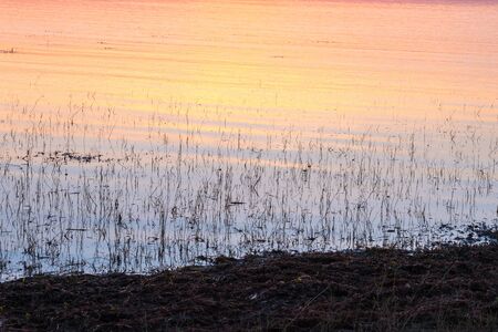 sunrise at  Thailand.の写真素材