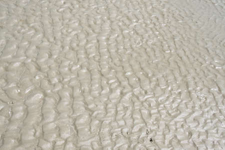 Wave line texture in sand on the beach.