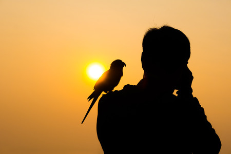 Silhouette of photographer with A bird on shoulders waiting for  sunrise.の写真素材