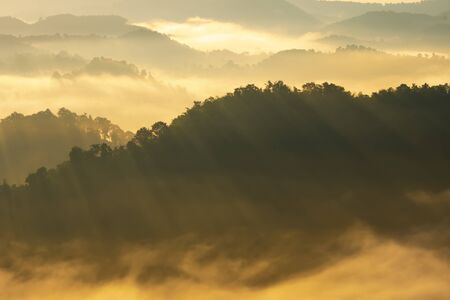 Beautiful Landscape of mountain layer in morning sun ray and winter fog.の写真素材